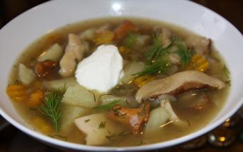 Рецепт суп грибной